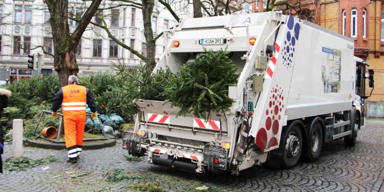 Ein Mitarbeiter von aha holt die Tannenbäume ab